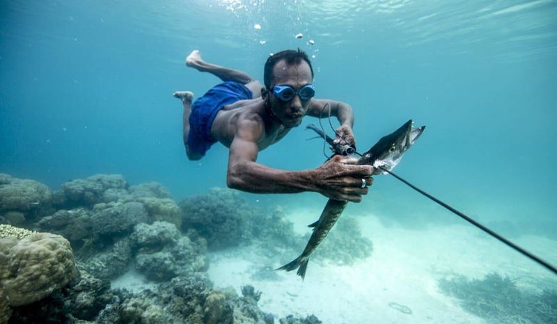 life and death of bajau sea gypsies in indonesia