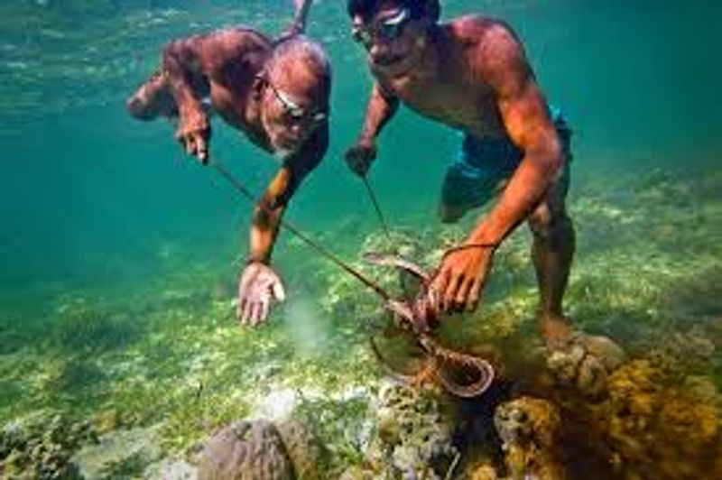 life and death of bajau sea gypsies in indonesia