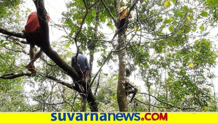 Students Searches Network At Forest in Dakshina Kannada snr Students Searches Network At Forest in Dakshina Kannada snr