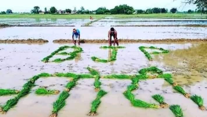 fact check of Bengal bhp leader dilip ghosh s share picture of farmer bsm fact check of Bengal bhp leader dilip ghosh s share picture of farmer bsm