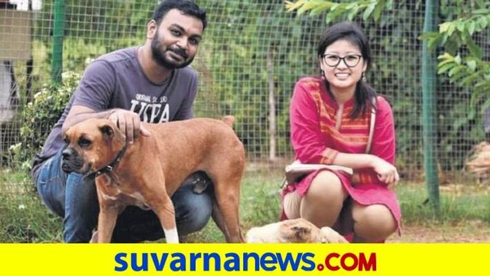 Bhubaneswar couple ties knot 500 strays get wedding treat pod Bhubaneswar couple ties knot 500 strays get wedding treat pod