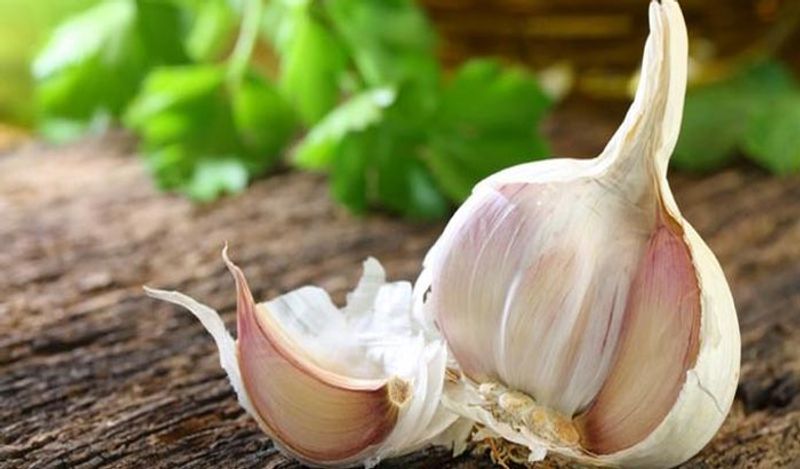 kitchen hack where should we store garlic to keep it fresh