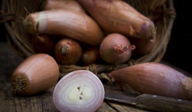kitchen hack where should we store garlic to keep it fresh