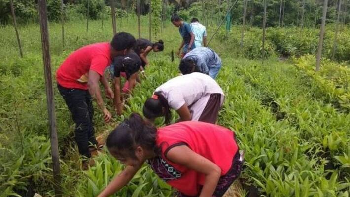 school of agriculture in goa school of agriculture in goa
