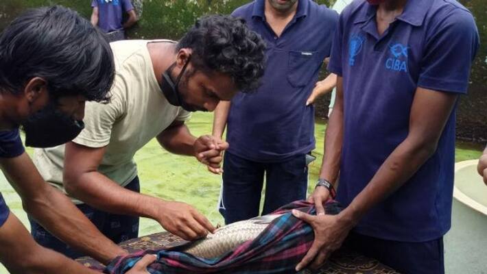 first fisheries startup in india first fisheries startup in india