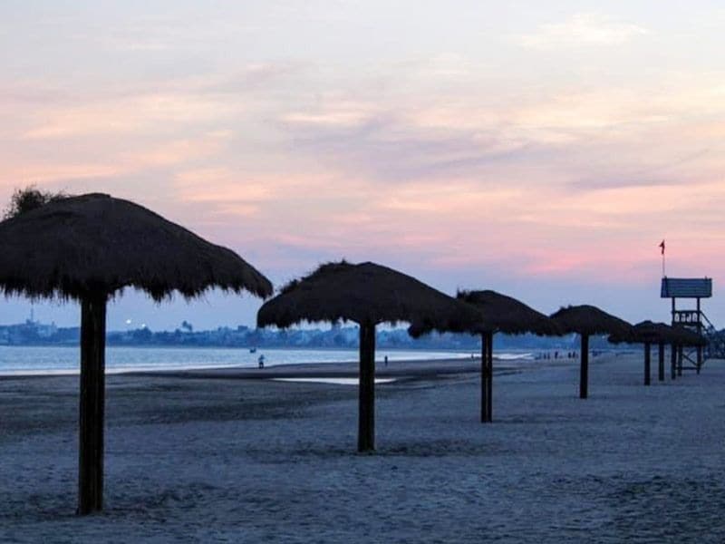 india s 8 beaches get blue flag status in first time bsm