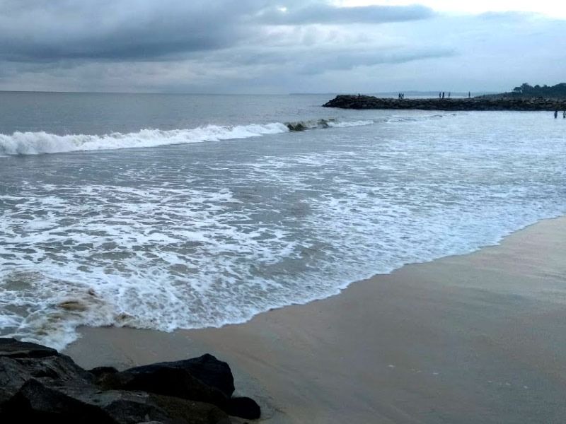 india s 8 beaches get blue flag status in first time bsm