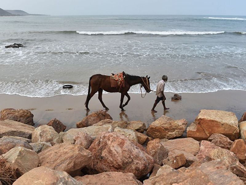 india s 8 beaches get blue flag status in first time bsm