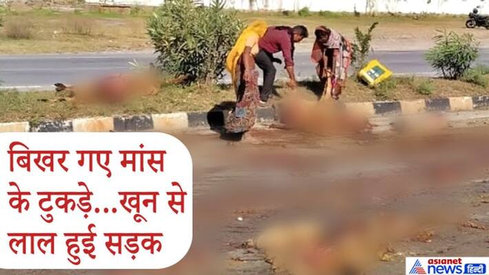 rajasthan high speed trailer 100 sheeps killed simultaneously on udaipur highway kpr rajasthan high speed trailer 100 sheeps killed simultaneously on udaipur highway kpr