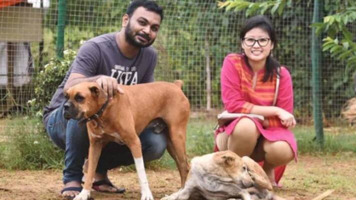 couple conducted marriage party for stray dogs couple conducted marriage party for stray dogs