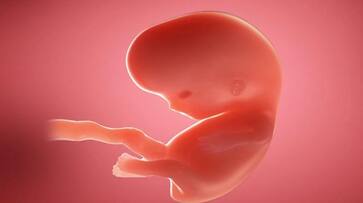 Four Arrested For Female Fetus Gender Detection in Bengaluru grg Four Arrested For Female Fetus Gender Detection in Bengaluru grg