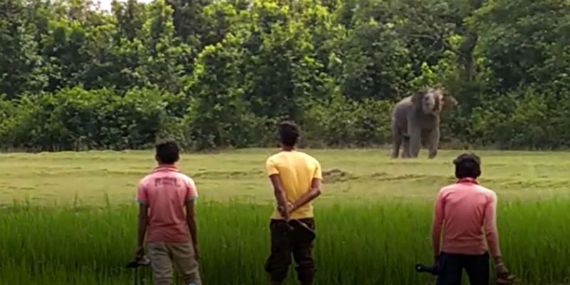 Villagers saw two elephant fight on crops filed at Midnapore ASB