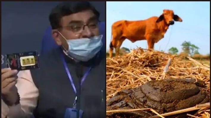 Chip made of cow dung significantly reduces radiation from phone Chip made of cow dung significantly reduces radiation from phone