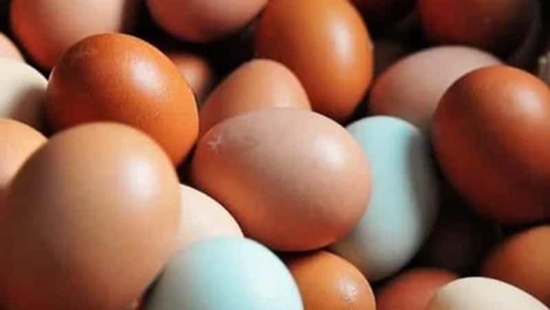 Weight loss: Remember these smart ways of eating eggs that will help you in shed kilos-dnm