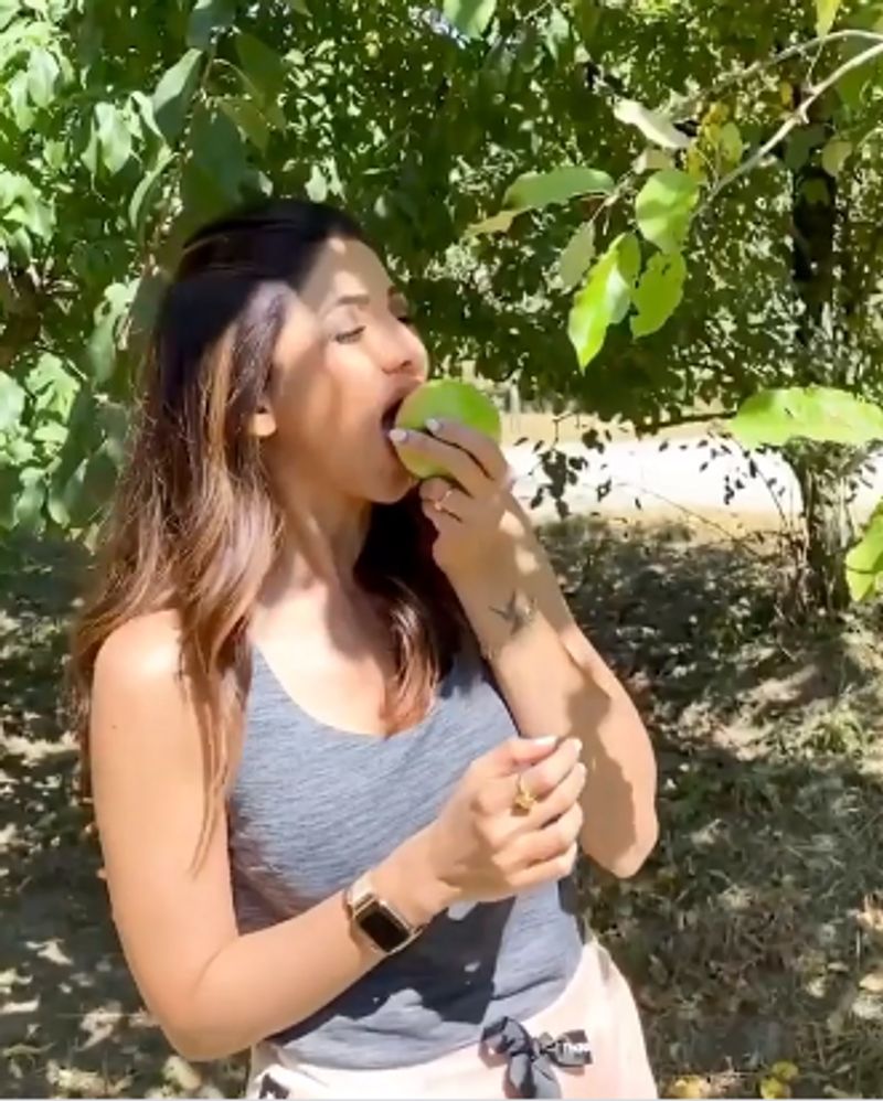 Shilpa Shetty Picks Fresh Apples In Manali And They Look Seriously Tempting dpl