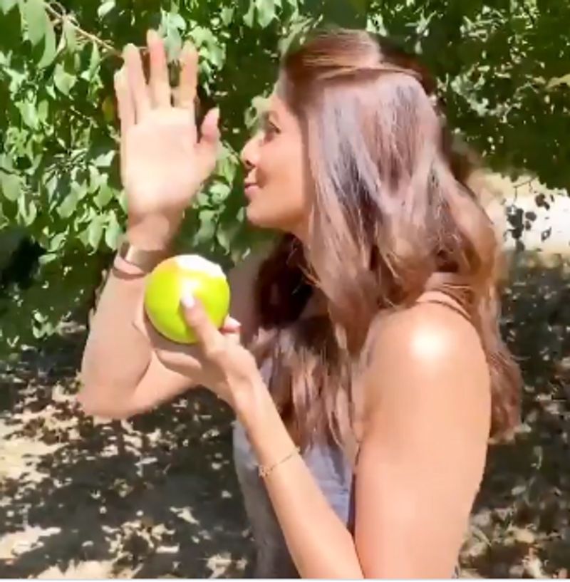 Shilpa Shetty Picks Fresh Apples In Manali And They Look Seriously Tempting dpl