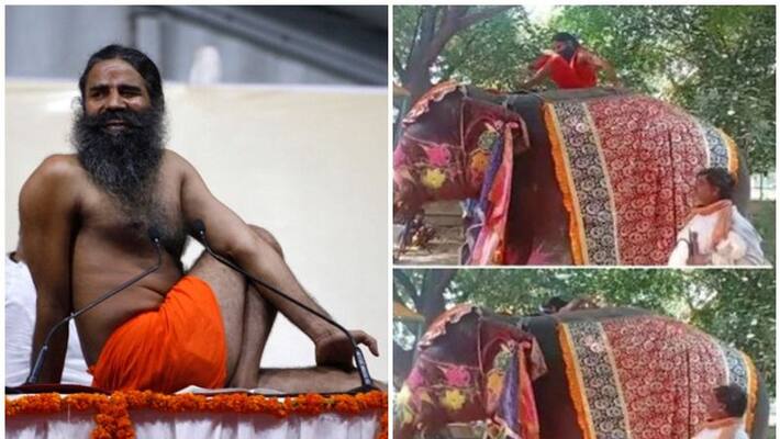 baba ramdev falls from elephant top while teaching yoga baba ramdev falls from elephant top while teaching yoga