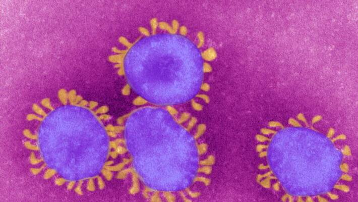 Coronavirus update in INDIA on 19th October morning cross 75 lakh mark bsm Coronavirus update in INDIA on 19th October morning cross 75 lakh mark bsm