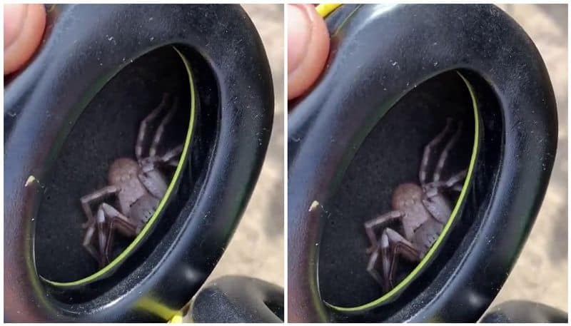horrifying experience huge spider found in youths headset