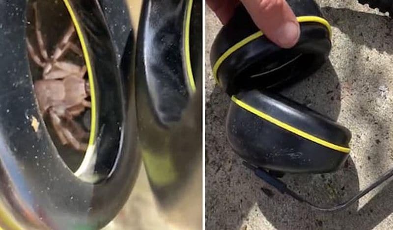 Tickle in ear while listening to song; The young man who checked the headset was shocked