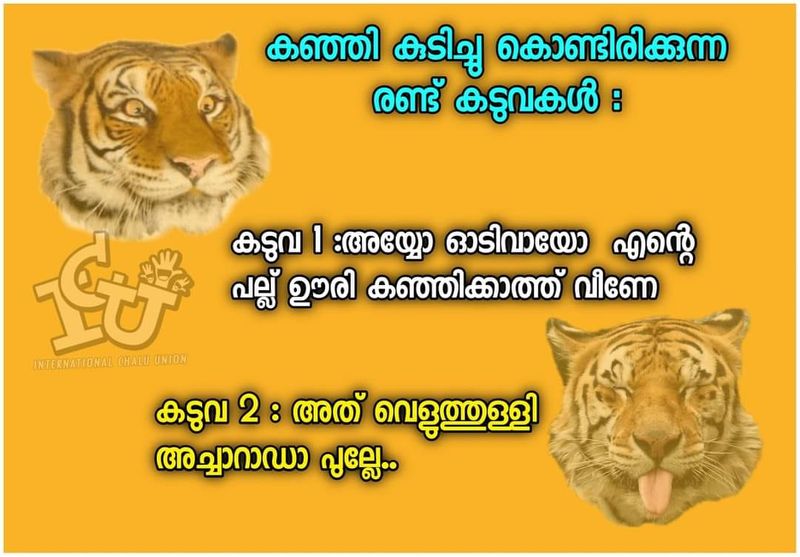 troll on hindu activists oppose serving beef to wild animals in guwahati