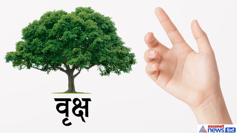 7. वृक्ष
हथेली में जिस रेखा या पर्वत पर वृक्ष बन जाता है, उसके शुभ फलों को बढ़ा देता है। ये बहुत शुभ निशान माना जाता है।

