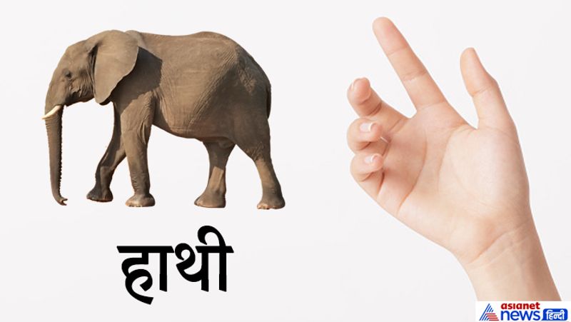 8. हाथी
जिन लोगों के हाथ में हाथी का चिह्न बन जाता है, उन्हें गणेशजी की कृपा से सभी राजकीय सुख और सुविधाएं मिलती है।
