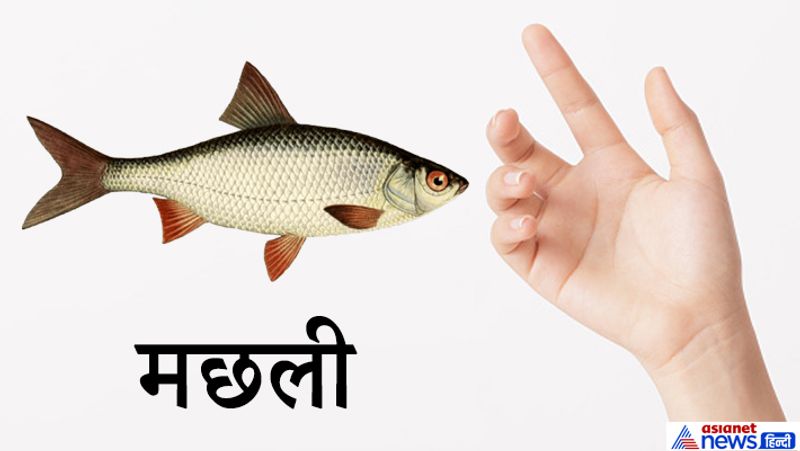 9. मछली
मछली के निशान को चमत्कारिक माना जाता है। जिन लोगों के हाथ में ये निशान बन जाता है, उनके जीवन में कई चमत्कारिक घटनाएं होती है।
