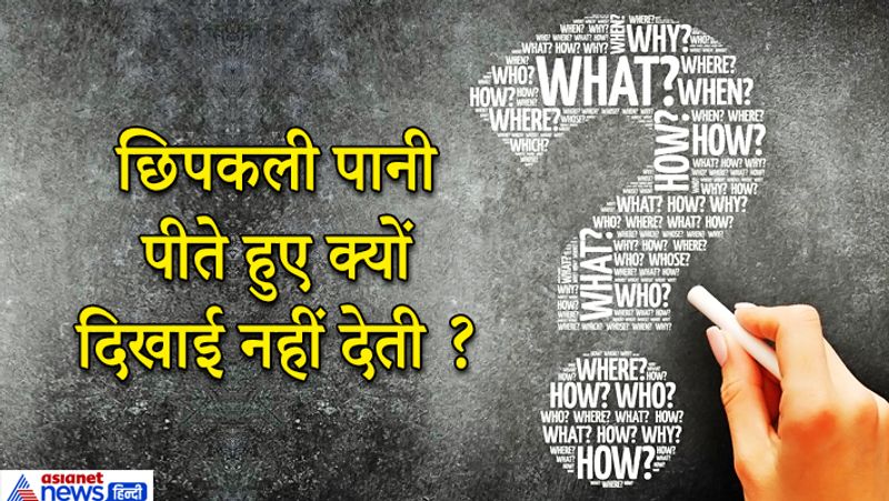 जवाब: छिपकली को उसके भोजन से ही पर्याप्त पानी मिल जाता है अलग से पानी की नहीं जरूरत नहीं पड़ती। 