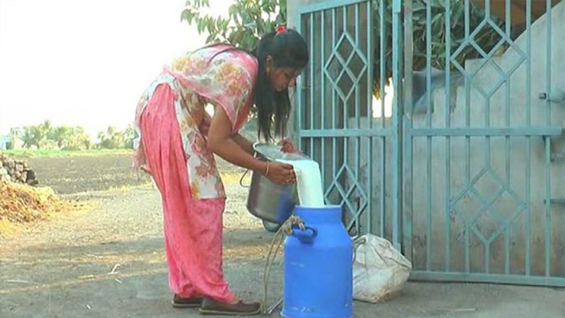 रामदे और भारती ने शुरू में 8 लाख रुपए का सालाना मुनाफा कमा रहे थे। अब यह बढ़कर दोगुने से ज्यादा हो गया है। आगे पढ़ें इसी किसान दम्पती की कहानी...