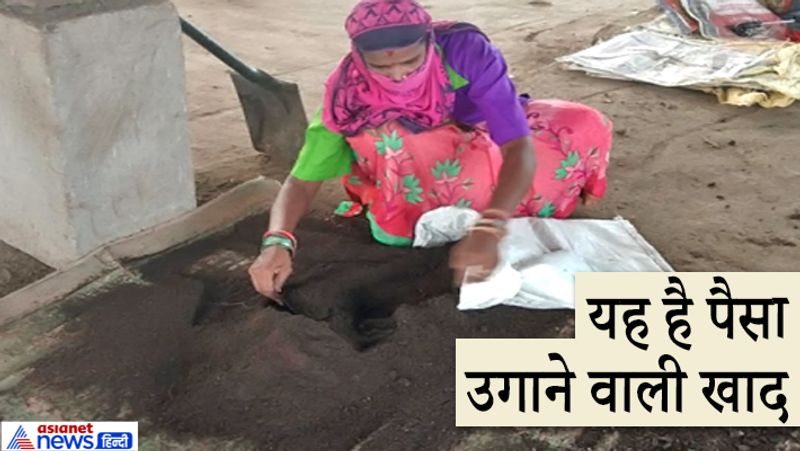 छत्तीसगढ़ में गोधन योजना के तहत महिलाएं गोबर से खाद बनाकर बेच रही हैं। इससे न सिर्फ उन्हें अच्छी कमाई हो रही है, बल्कि रासायनिक खाद से जमीन का भी बचाव हो रहा है। इस योजना के तहत महिलाओं को मुर्गी-बकरी और मछलीपालन के अलावा खेती-बाड़ी से संबंधित अन्य कार्यों के लिए भी प्रशिक्षित किया जाता है। आगे पढ़ें-पति ने छोड़ी मल्टीनेशनल कंपनी, पत्नी ने एयरहोस्टेस की जॉब...दोनों लंदन छोड़कर गांव में कर रहे खेती-किसानी