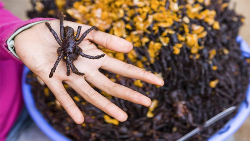 From insane octopus to snake venom, these disgusting dishes