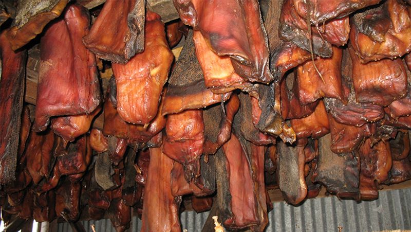 From insane octopus to snake venom, these disgusting dishes