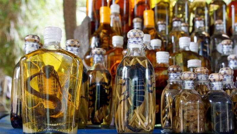 From insane octopus to snake venom, these disgusting dishes
