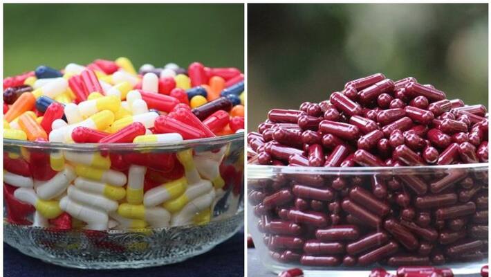 bio capsules sale increases as more youths into farming bio capsules sale increases as more youths into farming