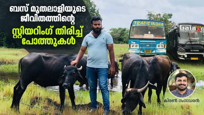 Covid crisis Bus owner najeeb becomes trader of buffalos in Kasargod of Kerala Covid crisis Bus owner najeeb becomes trader of buffalos in Kasargod of Kerala
