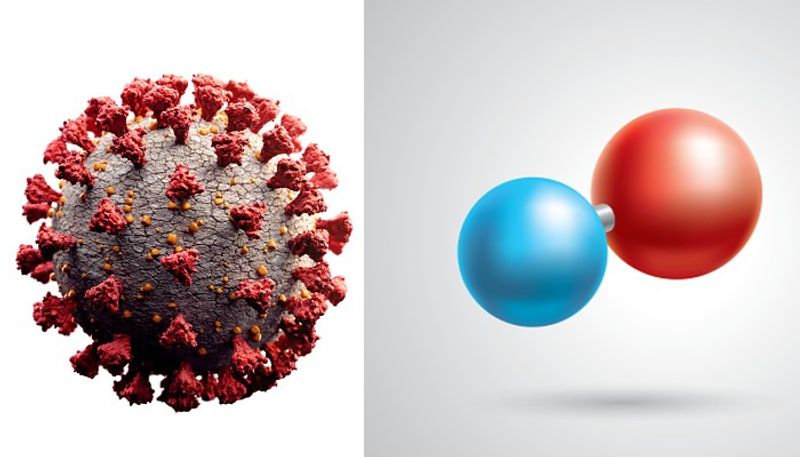 coronavirus nitric oxide can cure patients and save lives says new study bsm