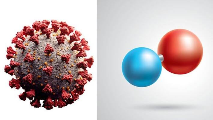 Nitric oxide could be a potential treatment for coronavirus, recent study claims ALB Nitric oxide could be a potential treatment for coronavirus, recent study claims ALB