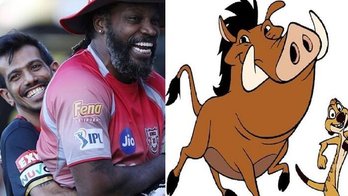 IPL 2020 Timon and pumbaa reunite yuzvendra chahal shares picture with chris gayle IPL 2020 Timon and pumbaa reunite yuzvendra chahal shares picture with chris gayle