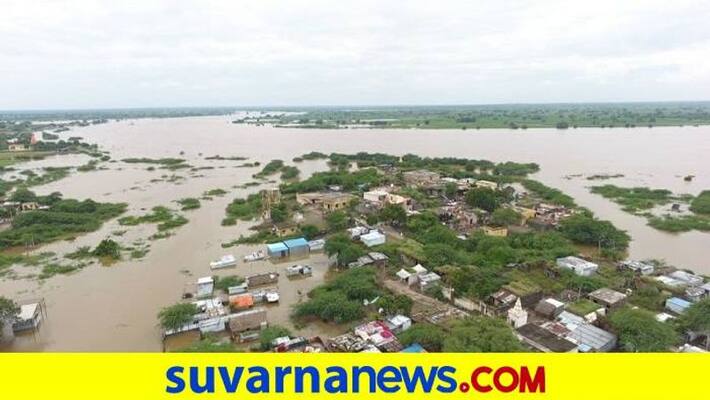 Flood Effect 13 Lakh Hectare Crop Loss in Karnataka snr Flood Effect 13 Lakh Hectare Crop Loss in Karnataka snr