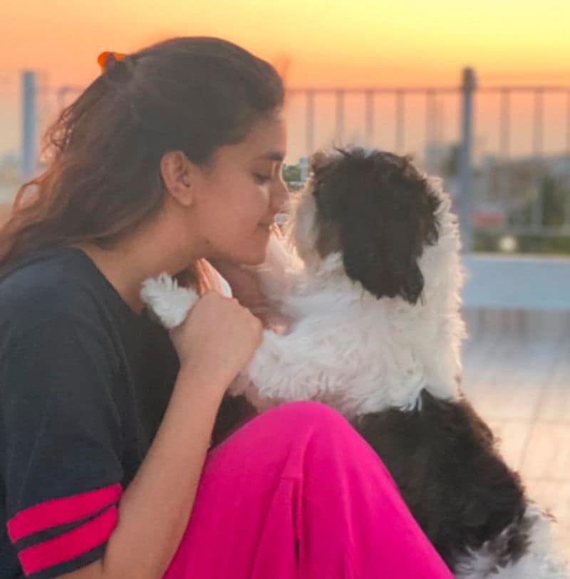 Happy birthday Keerthi suresh: south actress who love dogs so much dpl