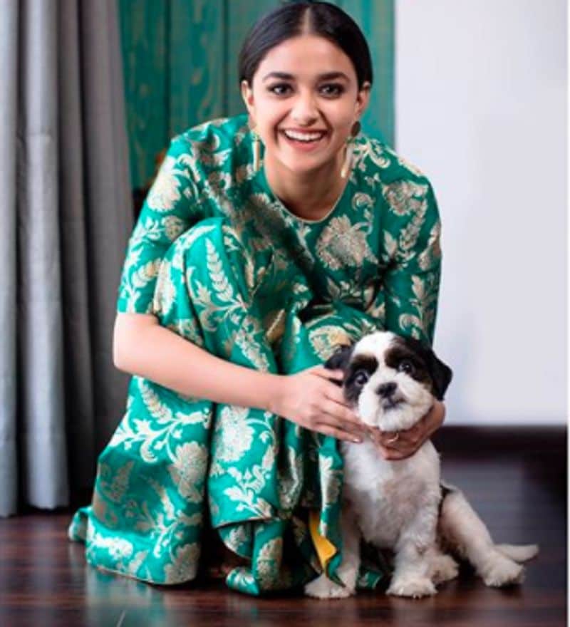 Happy birthday Keerthi suresh: south actress who love dogs so much dpl