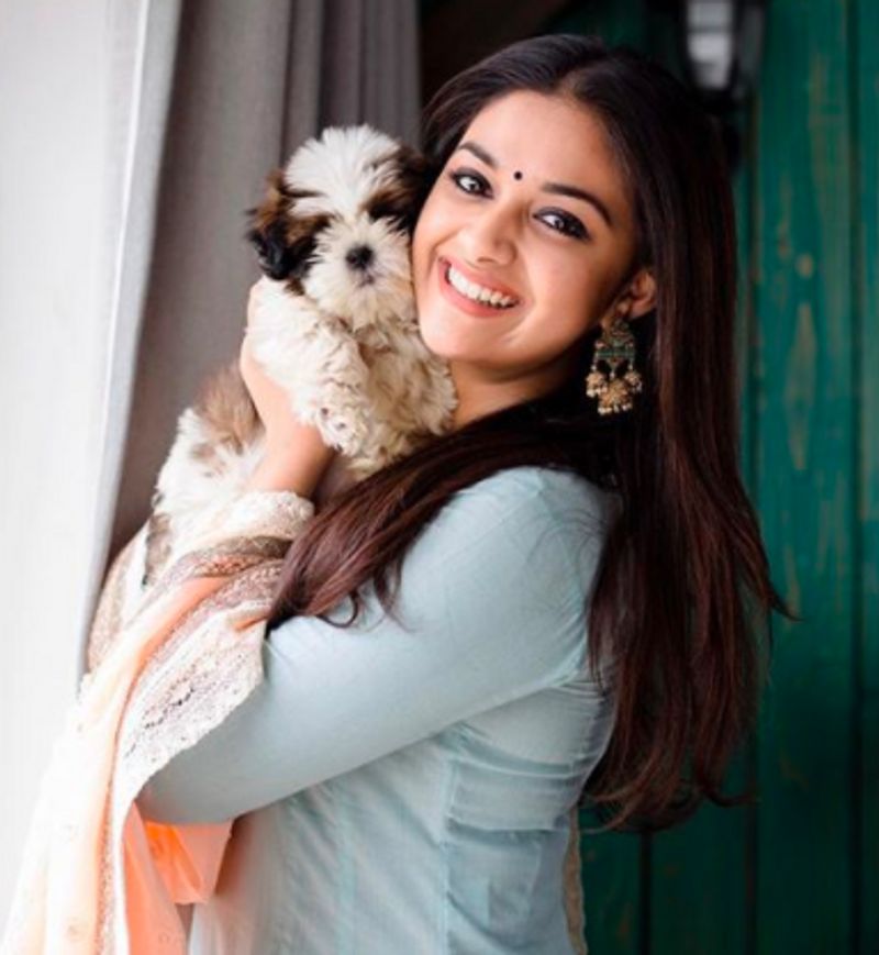 Happy birthday Keerthi suresh: south actress who love dogs so much dpl