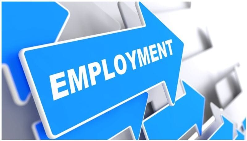 6) Employment creation and consumption revival
The economists stressed upon the fact that employment creation and consumption revival remain the key areas for ensuring a sustainable turnaround in economic prospects. Therefore, they called upon the government to announce a temporary fiscal stimulus to support consumption in the form of income tax breaks or direct income transfers.
To ease the employment situation in both rural as well as urban areas, the economists expect greater budget allocations to MGNREGA along with the introduction of an urban employment guarantee scheme similar to its rural equivalent.