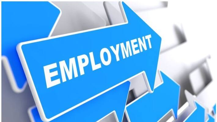 IT Officer appointment in Ayyankali urban employment scheme IT Officer appointment in Ayyankali urban employment scheme