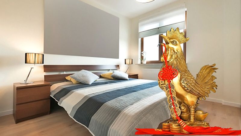 Know the benefits of Feng shui rooster