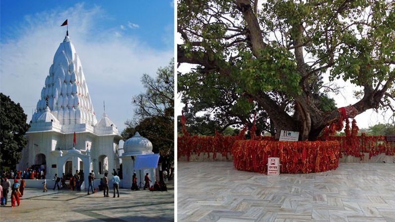 मनसा देवी मंदिर चंडीगढ़ से 10 किमी दूर है। यहां का नजदीकी रेलवे स्टेशन और एयरपोर्ट चंडीगढ़ है।