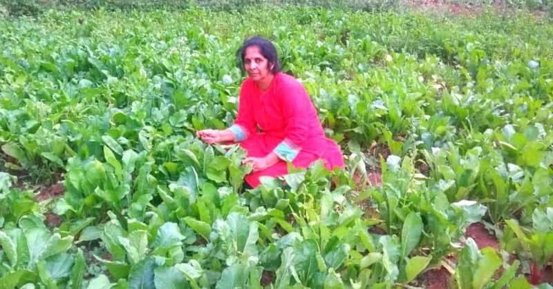 Hema Anant organic farmer runs a no shopkeeper shop