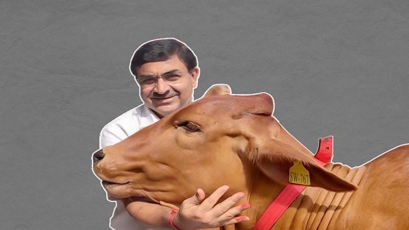 क्या है राष्ट्रीय कामधेनु आयोग
राष्ट्रीय कामधेनु आयोग केंद्र सरकार ने बनाया है। यह आयोग मत्स्य, पशुपालन और डेयरी मंत्रालय के अंतर्गत आता है। केंद्र सरकार द्वारा 6 फरवरी, 2019 को इस आयोग को स्थापित किया गया था और इसका उद्देश्य 'गायों का संरक्षण और विकास' है। केंद्रीय बजट 2019-20 में इसकी घोषणा की गई थी। राष्ट्रीय कामधेनु आयोग के अध्यक्ष डॉ. वल्लभभाई कथीरिया हैं।
(फाइल फोटो)