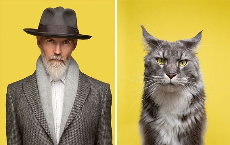 do you look like your cat photo shoot
